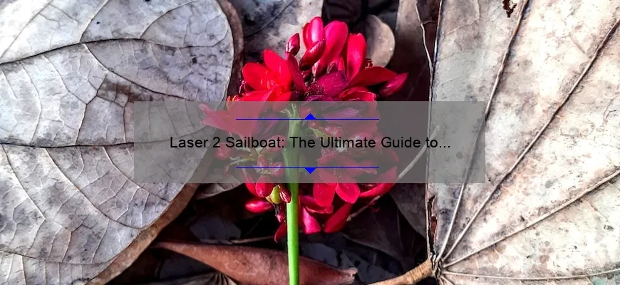 laser sailboat two person