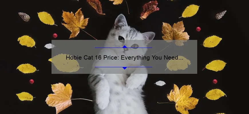 cost of hobie cat sailboat