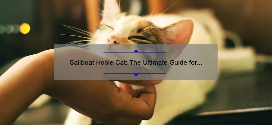 12 foot hobie cat sailboat